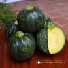 baby-pumpkin-f1-fresh-ball-223 - ảnh nhỏ  1