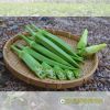 okra-gold-star-204 - ảnh nhỏ 2