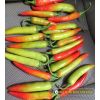 hot-pepper-f1-yellow-horn-12 - ảnh nhỏ 5