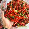 hot-chili-f1-red-sky-86 - ảnh nhỏ 5