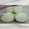 cabbage-f1-blue-rose-346 - ảnh nhỏ 3