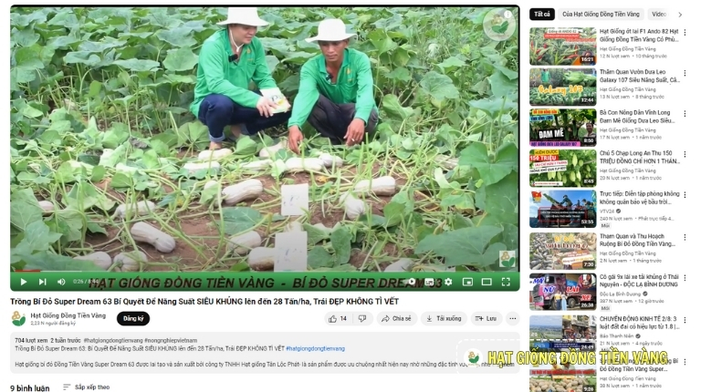 PUMPKIN "SUPER DREAM 63" SUPER HIGH YIELD- UP TO 28 TONS/ HA