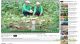 PUMPKIN "SUPER DREAM 63" SUPER HIGH YIELD- UP TO 28 TONS/ HA