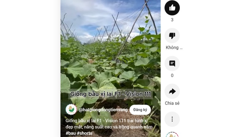 F1 Hybrid Bottle Gourd - Vision 111: Eye-Catching, Good Shape, Suitable for Year-Round Cultivation